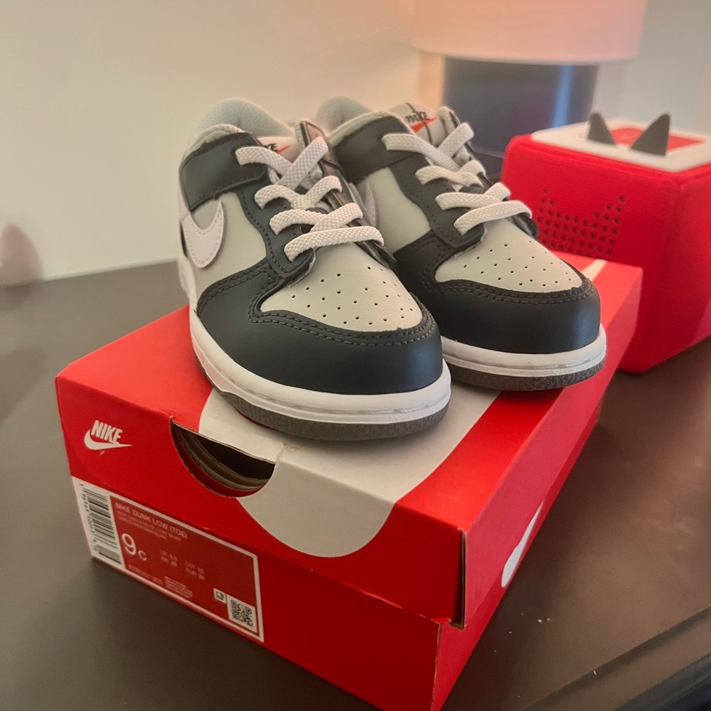 Toddler Nike Dunks